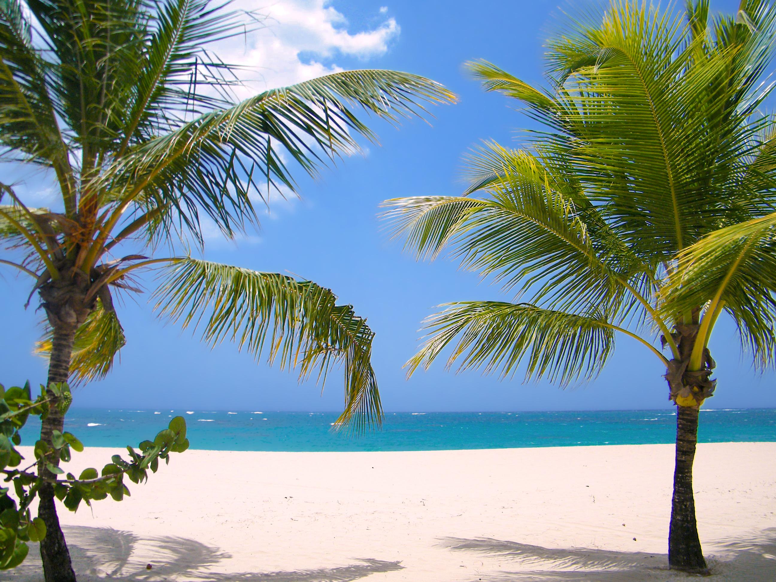 Viva Heavens By Wyndham, A Trademark All Inclusive (Adults Only) Puerto Plata Екстериор снимка