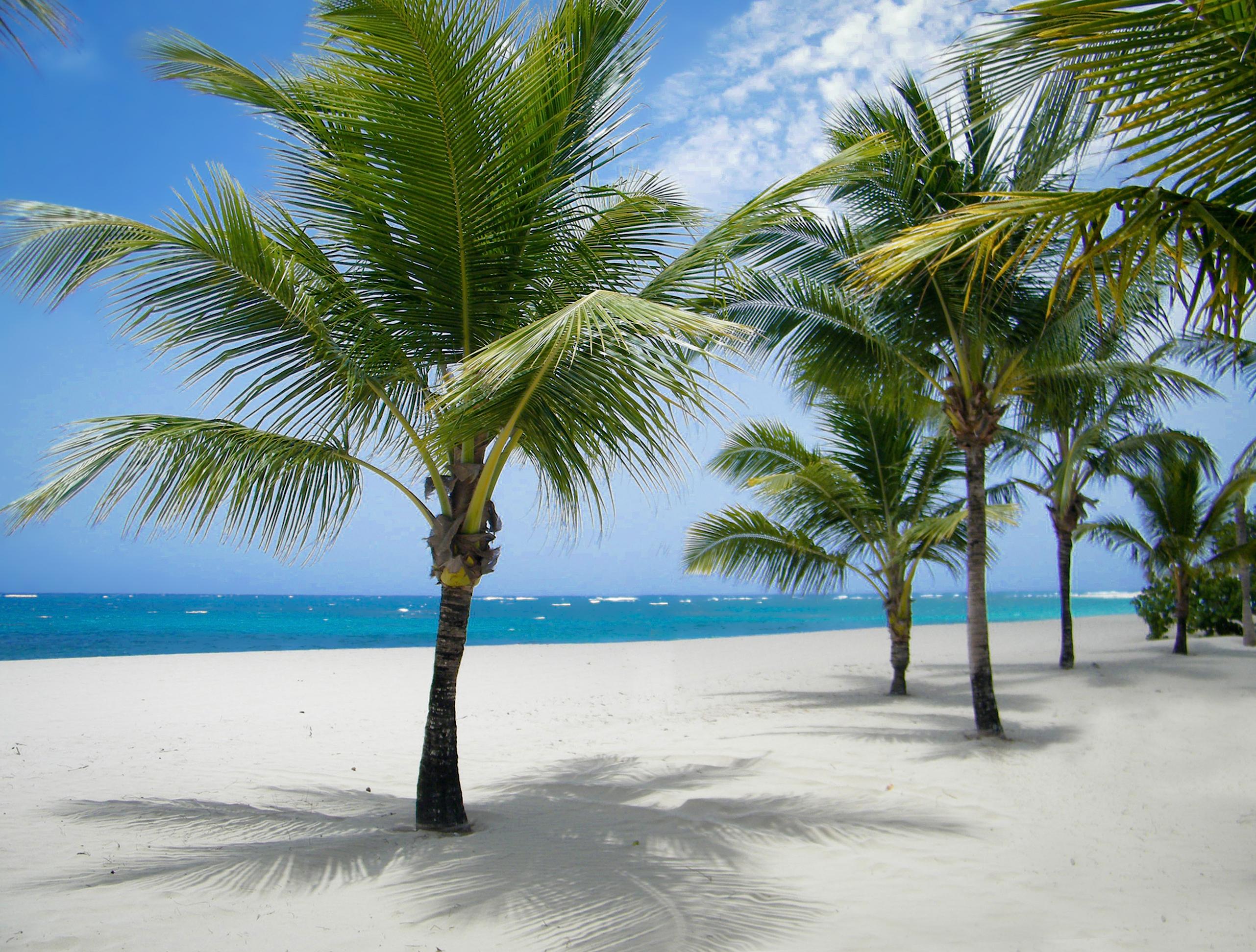 Viva Heavens By Wyndham, A Trademark All Inclusive (Adults Only) Puerto Plata Екстериор снимка