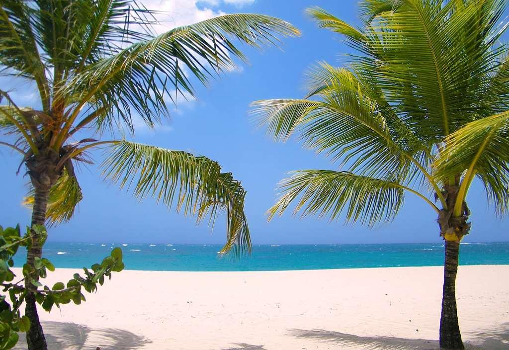 Viva Heavens By Wyndham, A Trademark All Inclusive (Adults Only) Puerto Plata Природа снимка